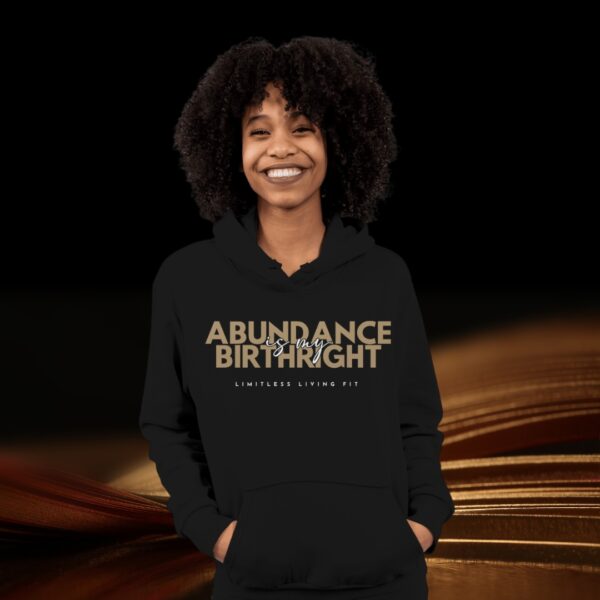 Abundance is my birthright oversized hoodie