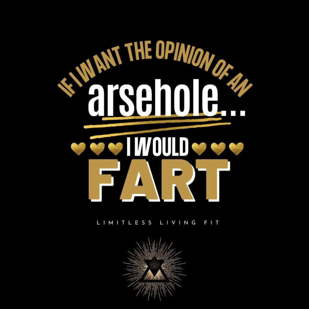 "If I want the opinion of an arsehole... I would fart." Oversized Hoodie
